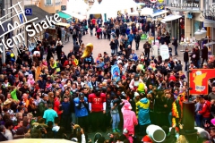 HARLEM SHAKE TRIER 2